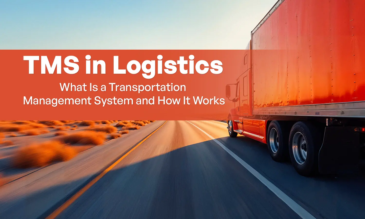 TMS in Logistics: Meaning, Benefits and How It Works